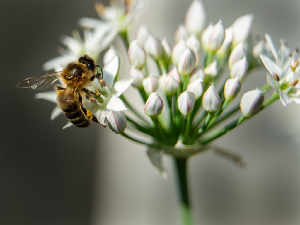 4_20210525_Sustainable Finance und Biodiversität