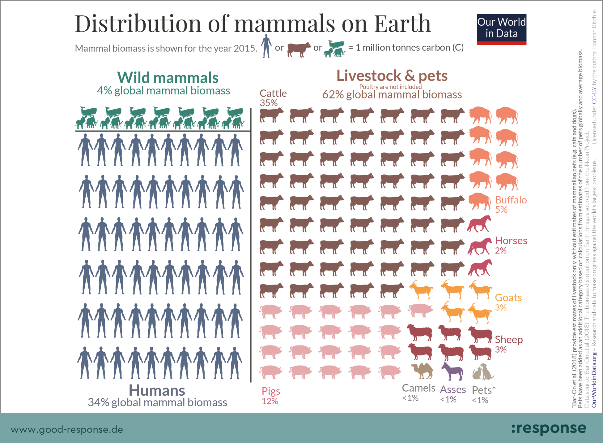 mammals