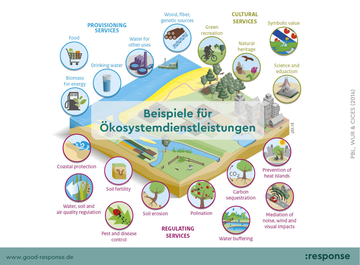 20220728_Ökosystemdienstleistungen