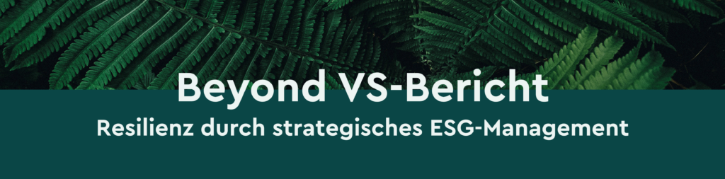 Coverbild des Online Trainings "Beyond Vsme Bereicht