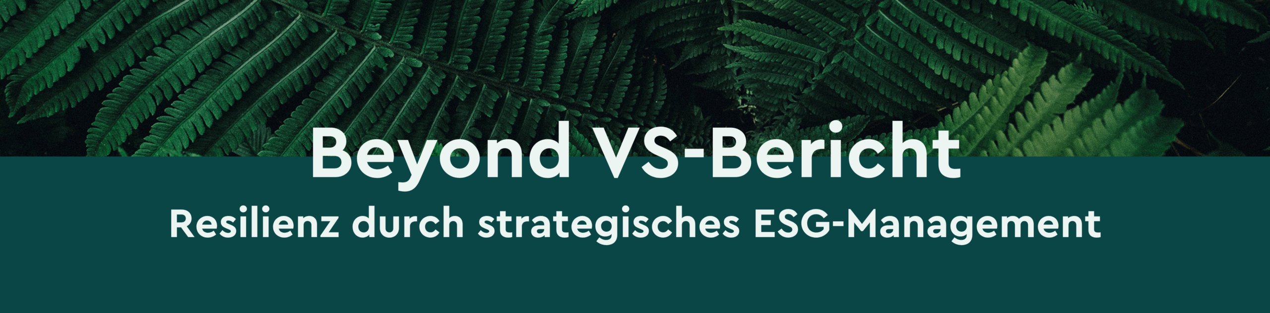 BEyond-VS Coverbild des Online Trainings "Beyond Vsme Bereicht