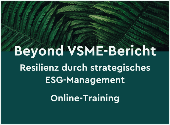 Coverbild des Online Trainings "Beyond Vsme Bereicht