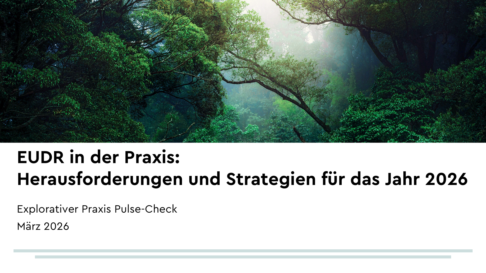 Cover der Studie "EUDR in der Praxis: Herausforderungen und Strategien für das Jahr 2026"